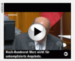 Bundesrat Merz, Bündnerfleischwerbung Denner